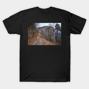 Road to the mountains T-Shirt